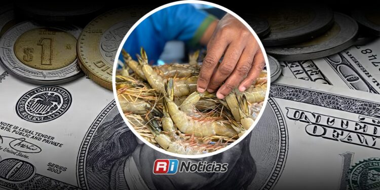 Dólar por debajo de 17 pesos también pega al precio del camarón