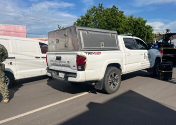 Muere hombre tras ser atacado por abejas mientras trabajaba en Costa Rica, Culiacán