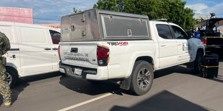 Muere hombre tras ser atacado por abejas mientras trabajaba en Costa Rica, Culiacán