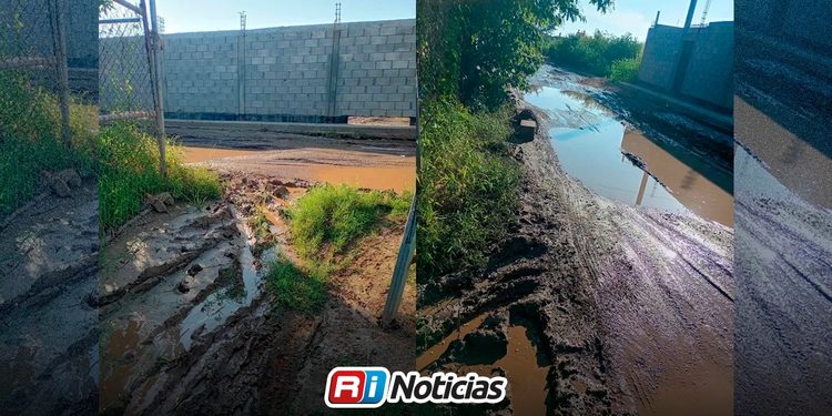 Fuga de agua potable lleva más de dos meses sin atender en la colonia Ampliación El Castillo
