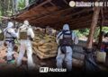 Desmantelan cuatro laboratorios clandestinos en Michoacán y Guerrero; aseguran más de 10 toneladas de químicos