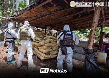Desmantelan cuatro laboratorios clandestinos en Michoacán y Guerrero; aseguran más de 10 toneladas de químicos