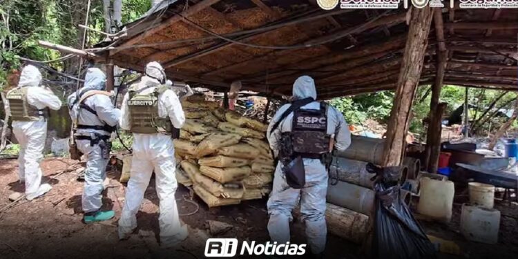Desmantelan cuatro laboratorios clandestinos en Michoacán y Guerrero; aseguran más de 10 toneladas de químicos