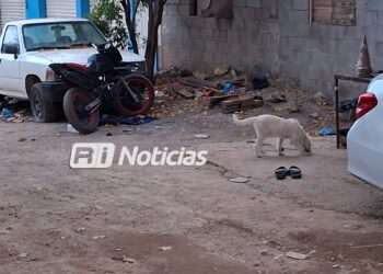 Atacan a balazos a joven de 19 años en la colonia Felipe Ángeles
