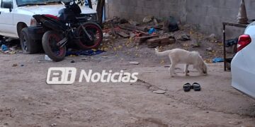 Atacan a balazos a joven de 19 años en la colonia Felipe Ángeles