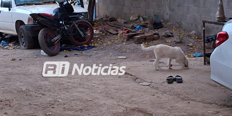 Atacan a balazos a joven de 19 años en la colonia Felipe Ángeles
