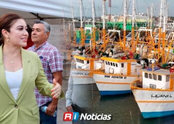 El camarón no aparece en el sur: pescadores enfrentan otro inicio de temporada complicado