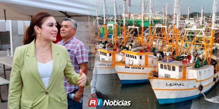 El camarón no aparece en el sur: pescadores enfrentan otro inicio de temporada complicado