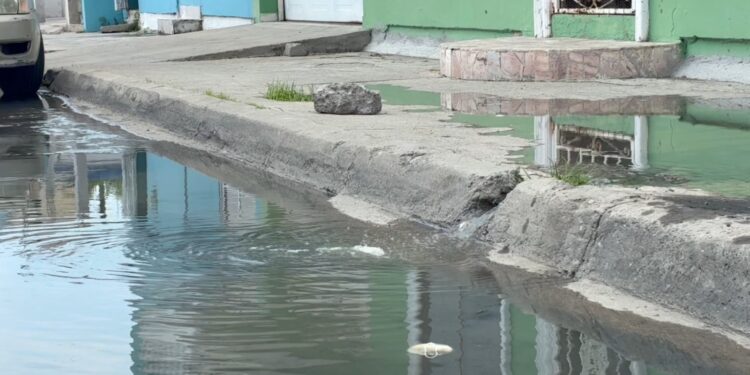 Vecinos de Infonavit Playas denuncian drenaje colapsado pese a reciente modernización de calle
