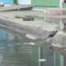Vecinos de Infonavit Playas denuncian drenaje colapsado pese a reciente modernización de calle