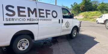 Muere trabajador del Ayuntamiento tras recibir descarga eléctrica y caer de varios metros