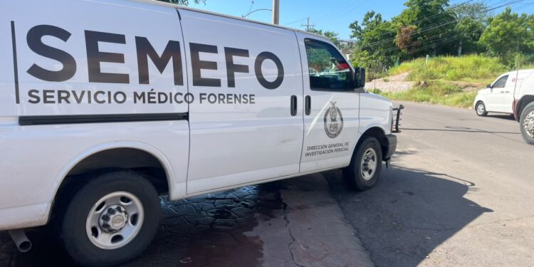 Muere trabajador del Ayuntamiento tras recibir descarga eléctrica y caer de varios metros