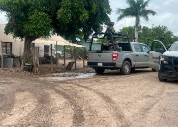 Detienen a cinco hombres armados durante operativo en Aguaruto