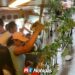 Lluvias provocan tráfico lento, pero transporte urbano sigue operando