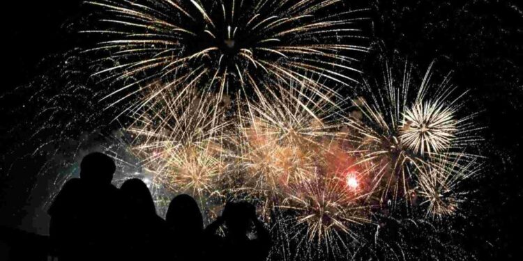 Pirotecnia en fiestas patrias: quemaduras, contaminación y estrés para las mascotas