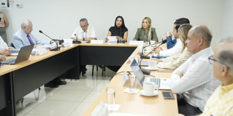 Revisa Comisión de Fiscalización resultados de auditorías presentados por ASE