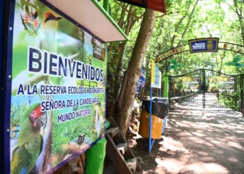¡Paisajes, biodiversidad y recreación! La Reserva Ecológica de la UAS vuelve a abrir sus puertas en Cosalá para ofrecer a sus visitantes naturaleza, aventura y vistas que enamoran