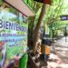 ¡Paisajes, biodiversidad y recreación! La Reserva Ecológica de la UAS vuelve a abrir sus puertas en Cosalá para ofrecer a sus visitantes naturaleza, aventura y vistas que enamoran