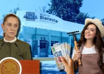 Sheinbaum asegura que APOYO de 6,450 pesos mensuales se otorgará a los beneficiarios de este PROGRAMA durante todo su gobierno