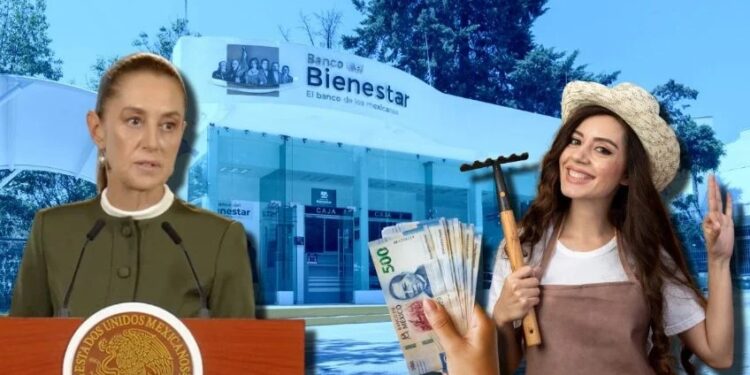 Sheinbaum asegura que APOYO de 6,450 pesos mensuales se otorgará a los beneficiarios de este PROGRAMA durante todo su gobierno