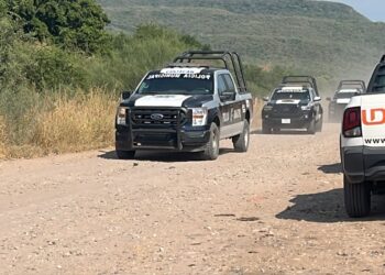 Muere trabajador aplastado por maquinaria para alimento de ganado en Culiacán