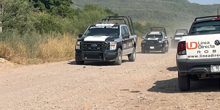 Muere trabajador aplastado por maquinaria para alimento de ganado en Culiacán