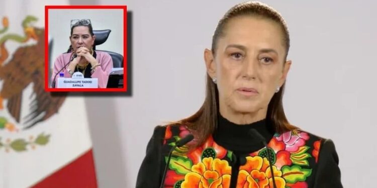 Sheinbaum pide investigar señalamientos contra Taddei tras su renuncia al INE