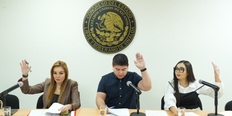 Aprueba Comisión de Derechos Humanos acuerdo para comparecencias de aspirantes al Consejo Consultivo del IPPDDHP