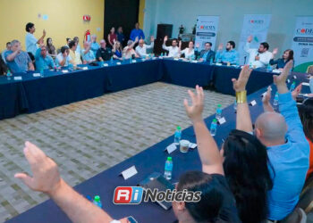 Helena Larsen encabezará CODESIN Zona Sur durante el periodo 2026-2029
