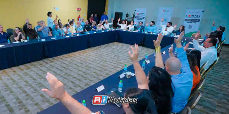 Helena Larsen encabezará CODESIN Zona Sur durante el periodo 2026-2029