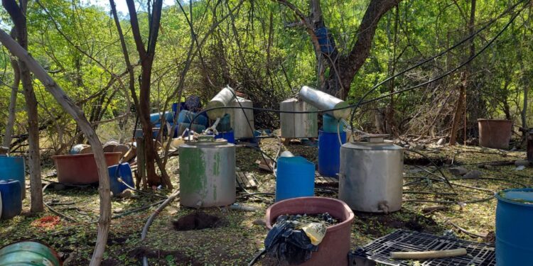 Localizan e inhabilitan laboratorio clandestino en Elota; aseguran precursores químicos