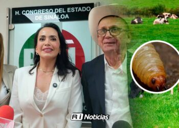 Sinaloa es el “patito feo” del presupuesto federal, acusa PRI