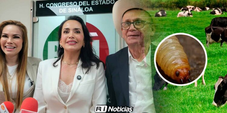 Sinaloa es el “patito feo” del presupuesto federal, acusa PRI