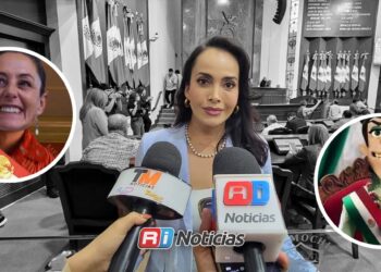 Ley antimemes es una restricciones a la libertad de expresión: Irma Moreno