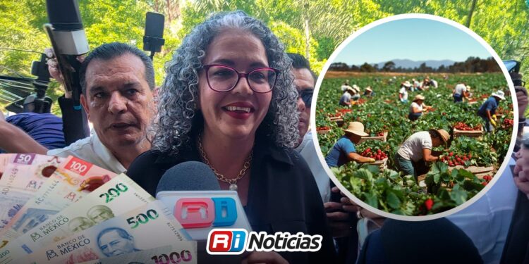 En 10 días podría quedar el pago de apoyos a productores de Sinaloa: Gobernadora