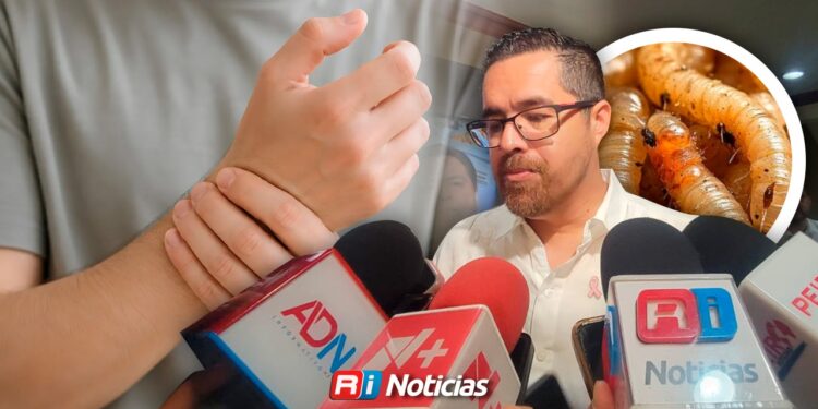 SSA confirma tercer caso de gusano barrenador en humanos en Sinaloa