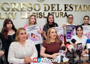Diputada MC busca garantizar atención integral a menores con lupus