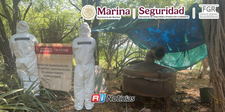 Localizan y neutralizan laboratorio clandestino en Sanalona, Culiacán
