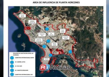 Saturación de lirio acuático reduce presión del agua en Mazatlán
