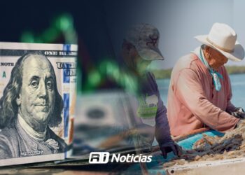 Dólar y precio internacional podrían dar un respiro a productores de camarón