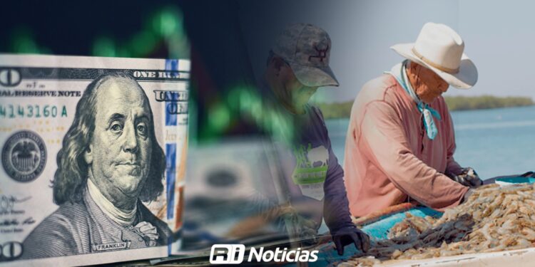 Dólar y precio internacional podrían dar un respiro a productores de camarón