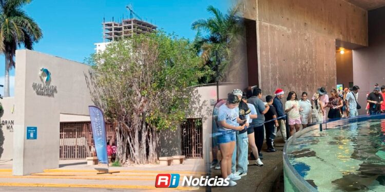 Deuda del Acuario Mazatlán pasa de 35 a 34 mdp tras abonos: Tesorero Municipal