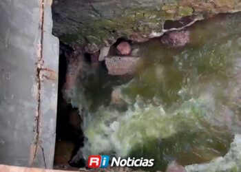 Avenida Insurgentes queda libre de inundación tras limpieza de la Laguna del Camarón