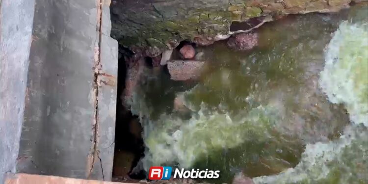 Avenida Insurgentes queda libre de inundación tras limpieza de la Laguna del Camarón