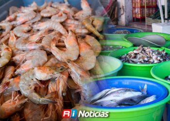 Camarón ecuatoriano barato pega a productores mexicanos, advierte sector