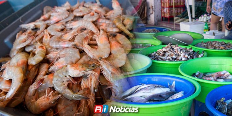 Camarón ecuatoriano barato pega a productores mexicanos, advierte sector