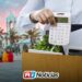 Desempleo en Sinaloa supera la media nacional; 5 mil buscan trabajo en Mazatlán