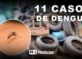 Suma Mazatlán 11 casos confirmados de dengue y mantiene brigadas preventivas