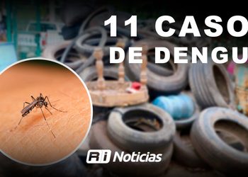 Suma Mazatlán 11 casos confirmados de dengue y mantiene brigadas preventivas