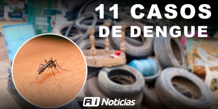 Suma Mazatlán 11 casos confirmados de dengue y mantiene brigadas preventivas